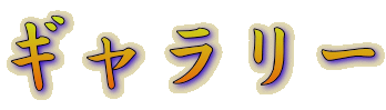 ギャラリー